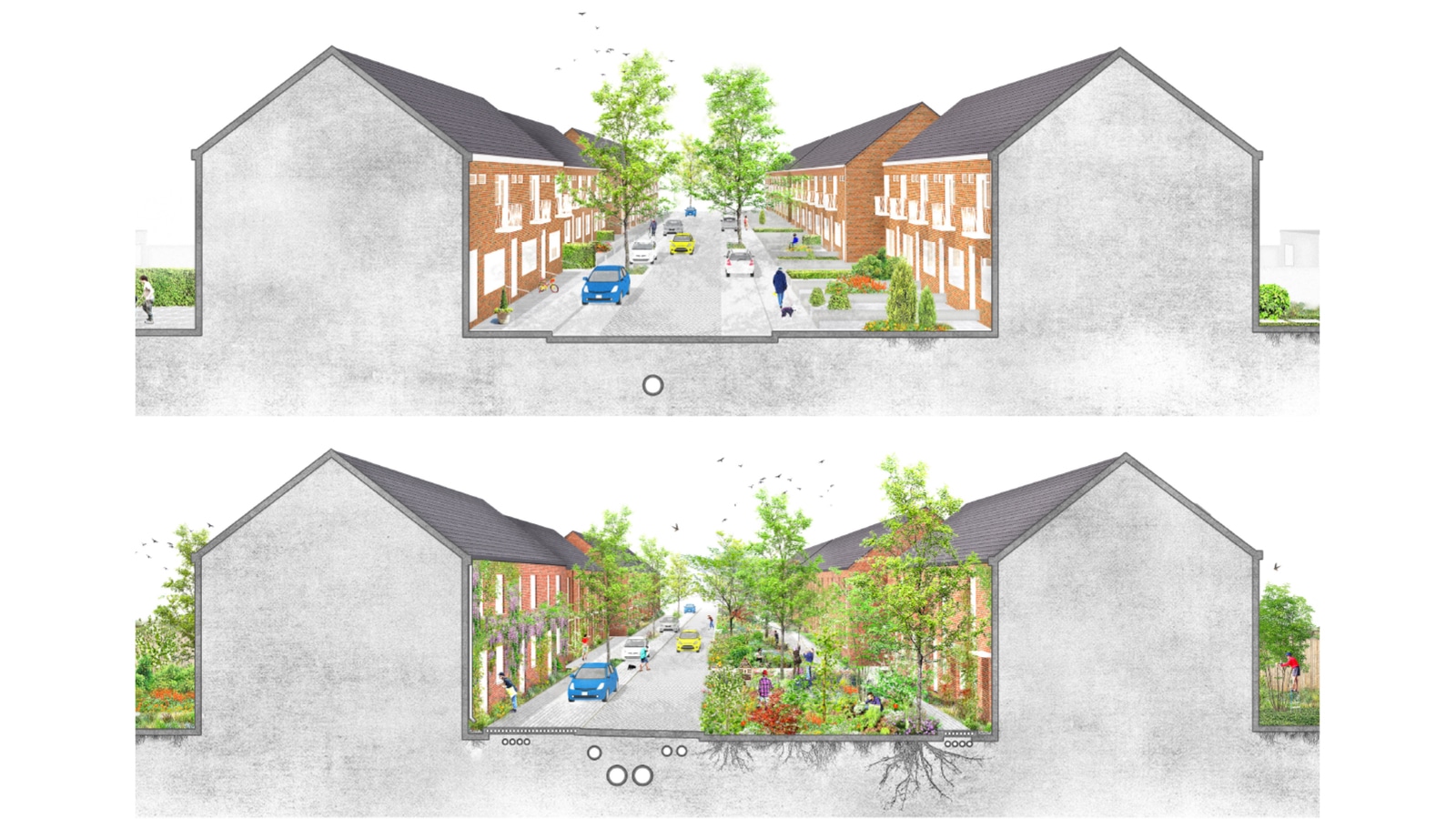 Anthony Modderstraat